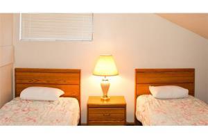 Telluride Lodge - 1 Bedroom Condo #305 المظهر الخارجي الصورة